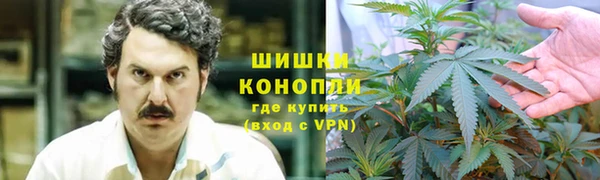 PSILOCYBIN Горнозаводск