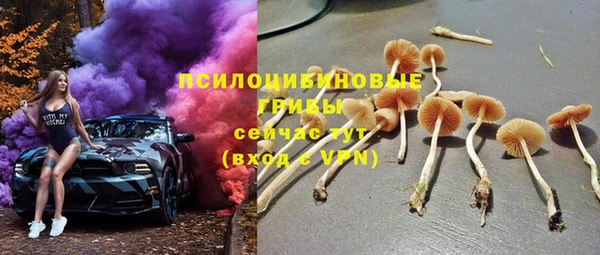 PSILOCYBIN Горнозаводск