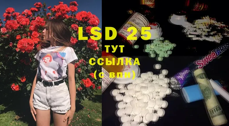 хочу наркоту  Александров  Лсд 25 экстази ecstasy 